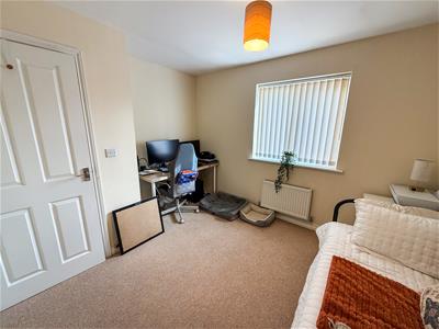 Picture 12